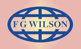 ✓ FG-Wilson ZZ50324 Блок цилиндров 